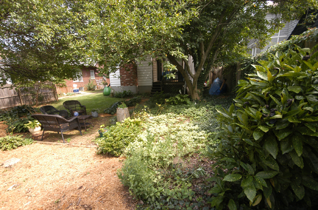 1825 Belleville Road Southwest Roanoke, VA 24015 - Photo 22 of 35 Backyard View 3
