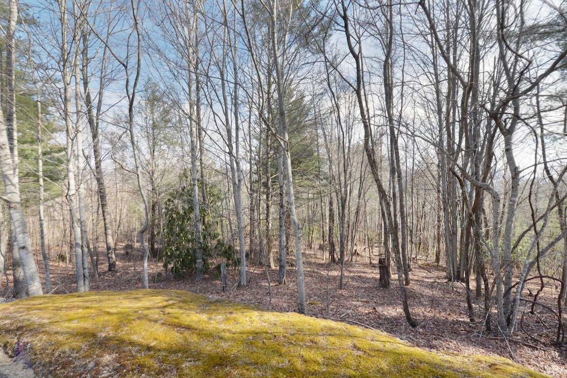 42 Ledgeview Road Cashiers, NC 28717 - Photo 8 of 9 Gallery Image 8