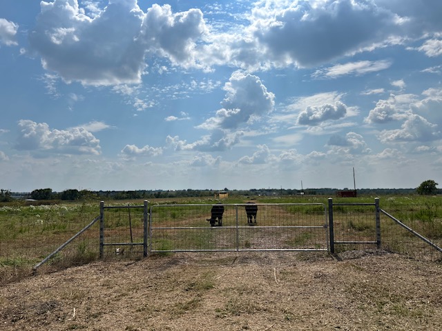1079 Lomax Harmel Road Burton, TX 77835 - Photo 12 of 12 View of yard with a gate and a rural view