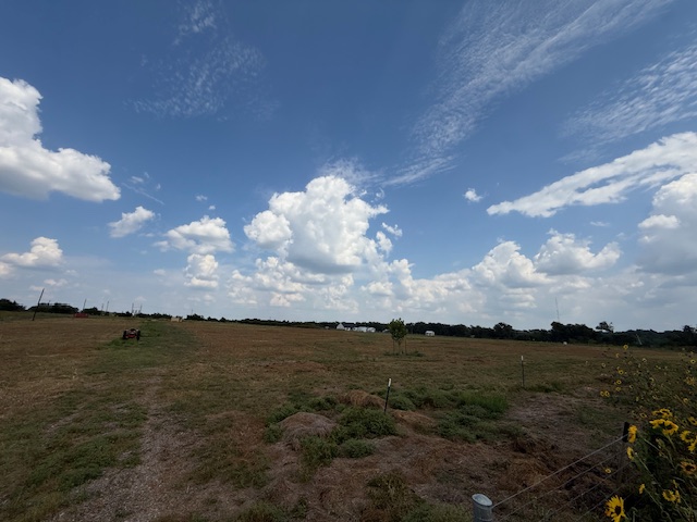 1079 Lomax Harmel Road Burton, TX 77835 - Photo 3 of 12 View of local wilderness featuring rural landscape