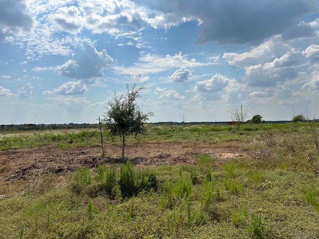 1079 Lomax Harmel Road Burton, TX 77835 - Photo 10 of 12 View of nature featuring rural landscape