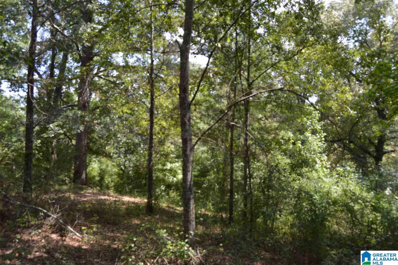 3512 Kilpatrick Road, Unit 9 7 AC Quinton, AL 35130 - Photo 15 of 19 Gallery Image 15