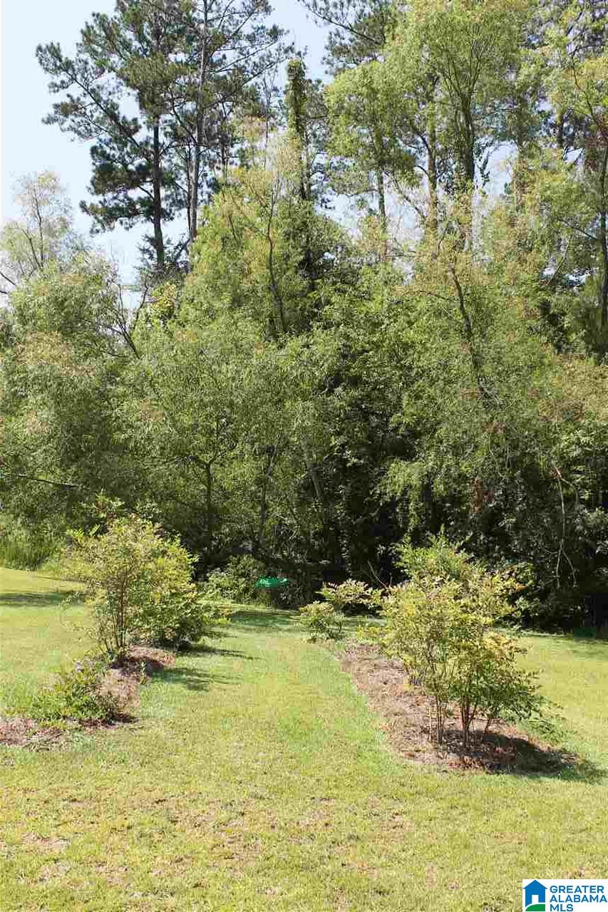 545 Lovejoy Road Ashville, AL 35953 - Photo 36 of 44