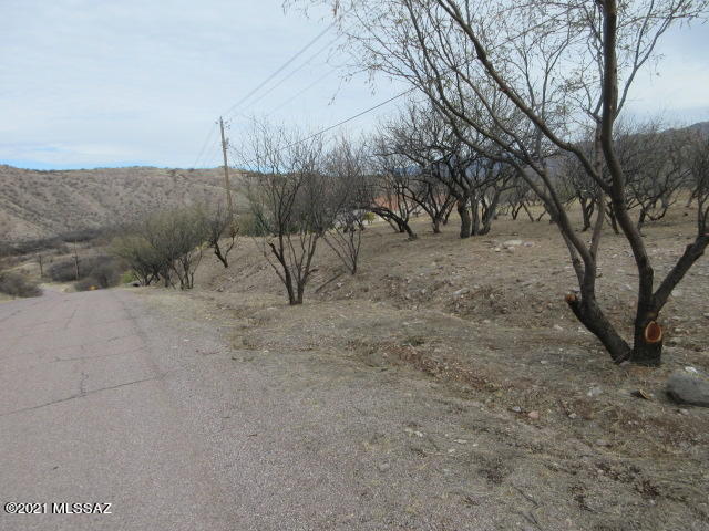 1305 Calle Cherokee, Unit 65 Rio Rico, AZ 85648 - Photo 5 of 5