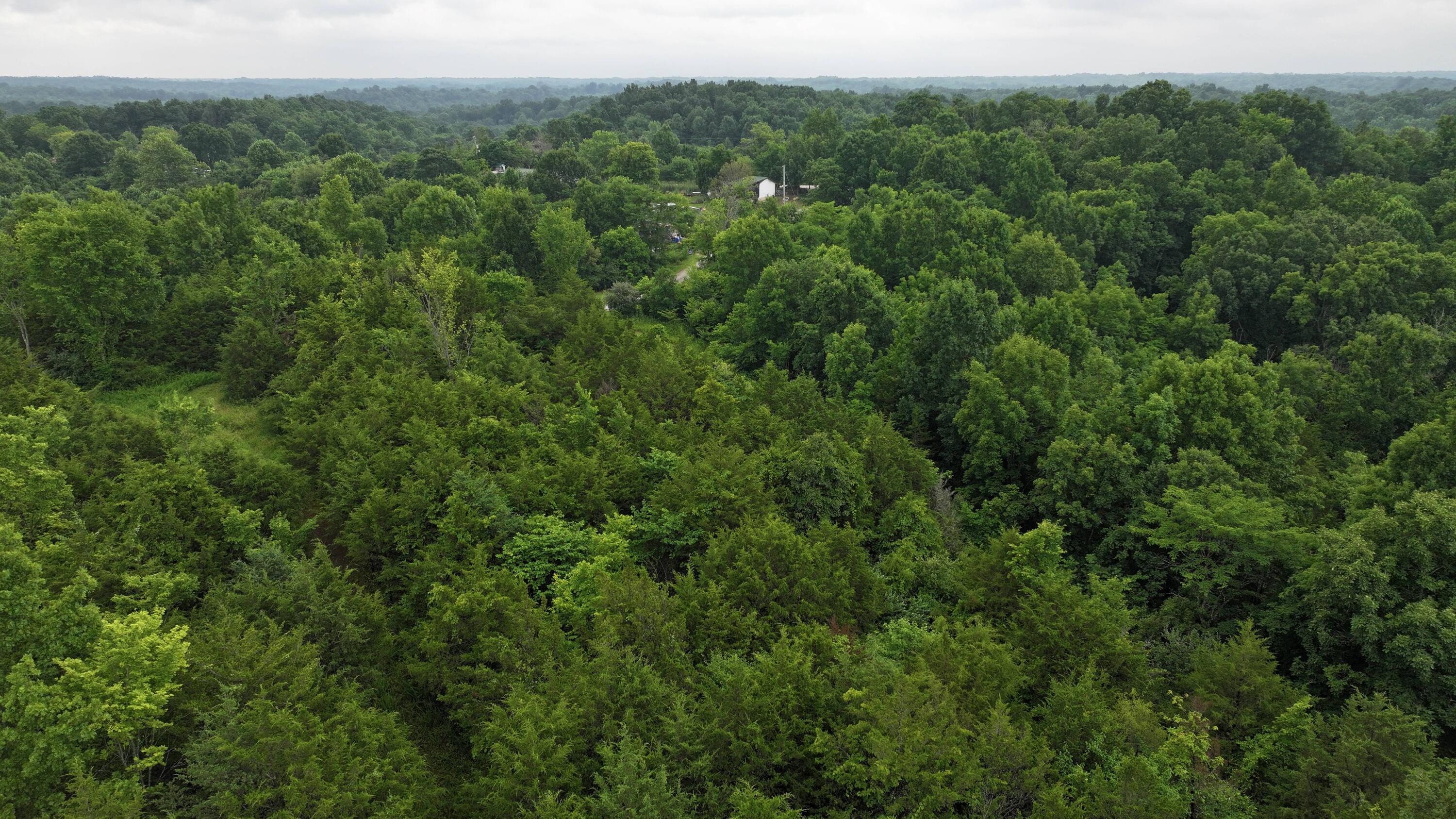 10792 New Columbus Road Owenton, KY 40359 - Photo 16 of 22 DJI_20260709104416_0033_D