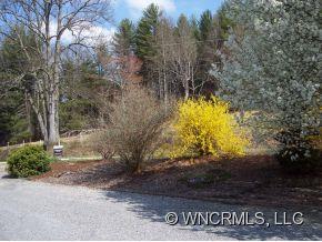 1350 Reasonover Road Cedar Mountain, NC 28718 - Photo 16 of 16 Gallery Image 16