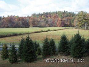 1350 Reasonover Road Cedar Mountain, NC 28718 - Photo 4 of 16 Gallery Image 4