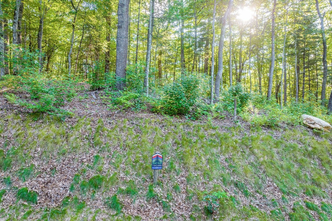 8 South Ridgeline Road Sylva, NC 28779 - Photo 10 of 19 Gallery Image 10