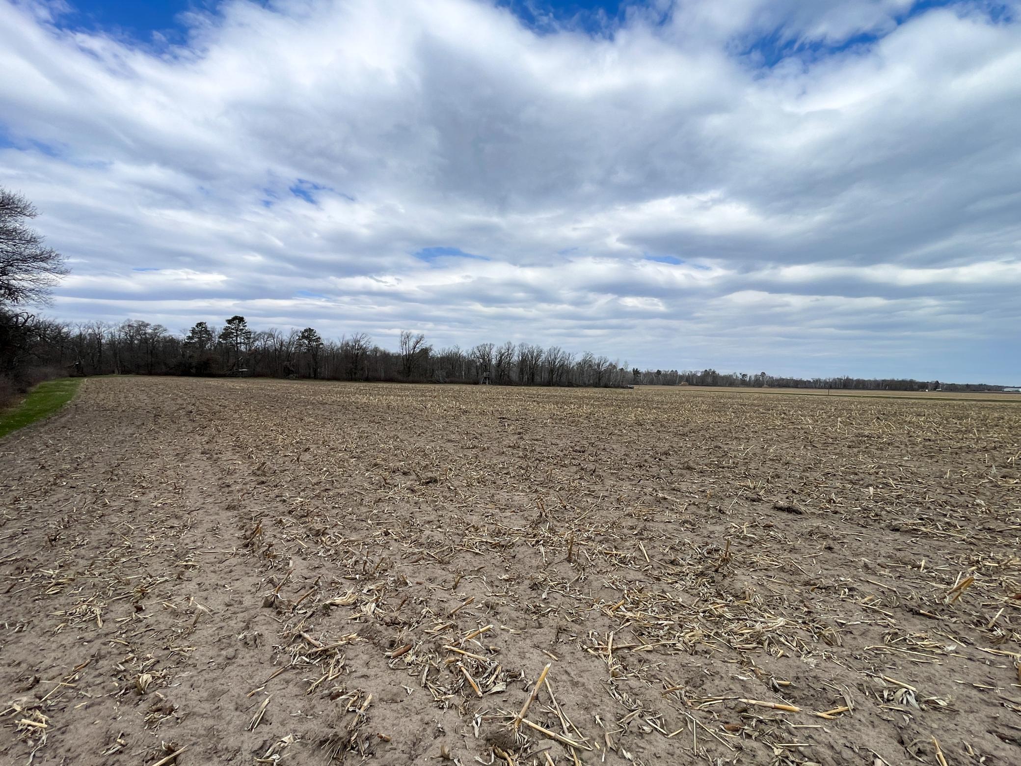 Tbd1 Boot Lake Road Southwest Bemidji, MN 56601 - Photo 25 of 41