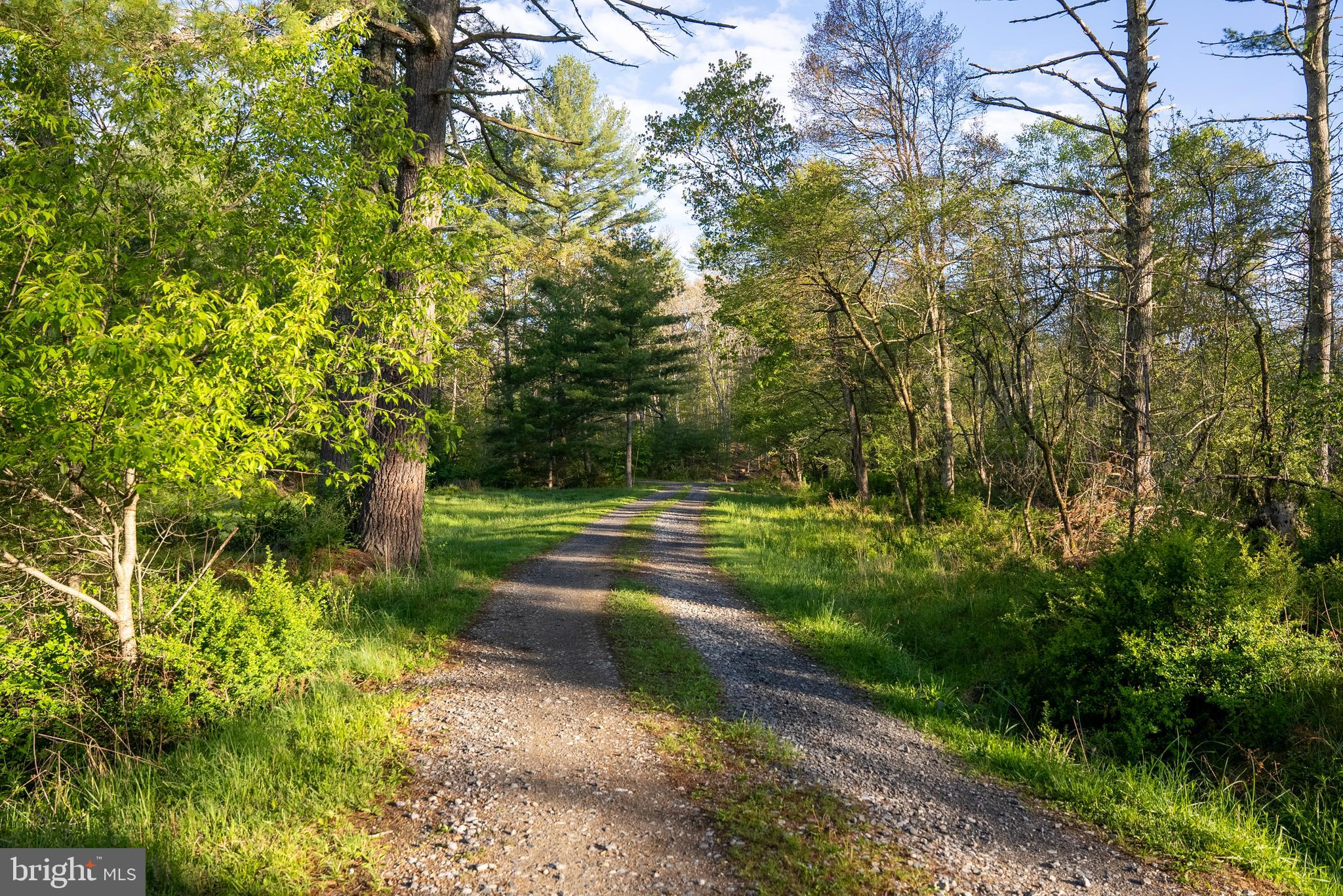 199 Green Bank Road Arbovale, WV 24915 - Photo 103 of 113