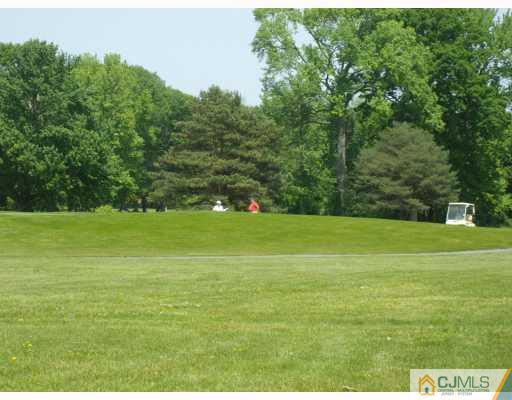 781 Risley Road Monroe Township, NJ 08831 - Photo 9 of 10 a view of a green field with wooden fence