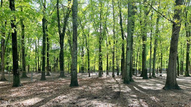 700 Glascock Street Raleigh, NC 27604 - Photo 21 of 21 a view of outdoor space with lots of trees