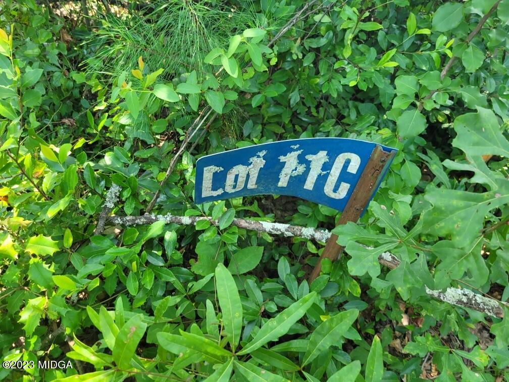 3531 Baker Road Macon, GA 31211 - Photo 15 of 21