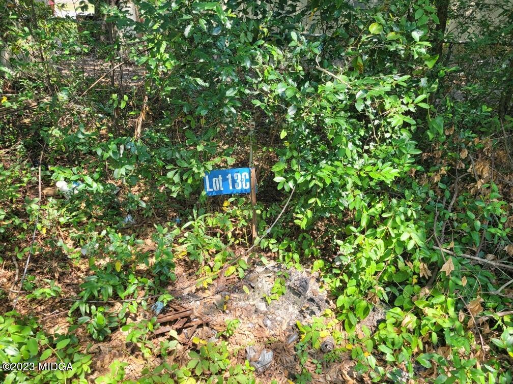 3531 Baker Road Macon, GA 31211 - Photo 16 of 21 a view of a wall with plants