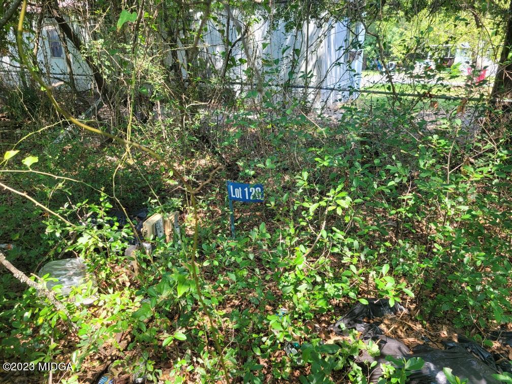 3531 Baker Road Macon, GA 31211 - Photo 17 of 21 a backyard of a house with lots of green space and a fountain