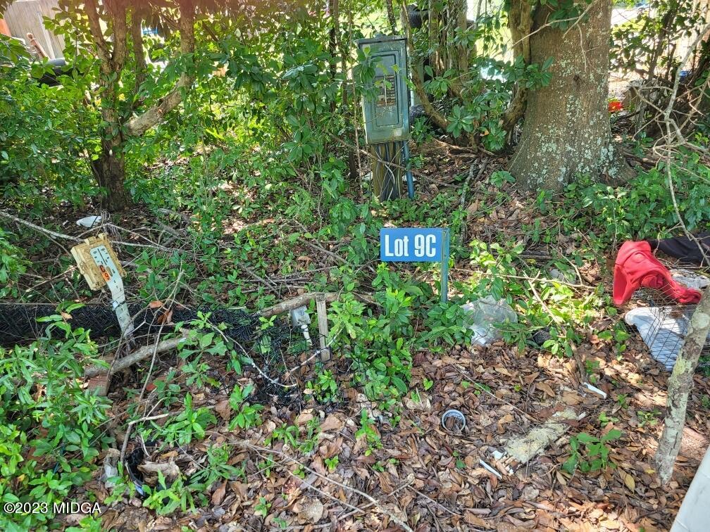 3531 Baker Road Macon, GA 31211 - Photo 18 of 21 a backyard of a house with lots of green space