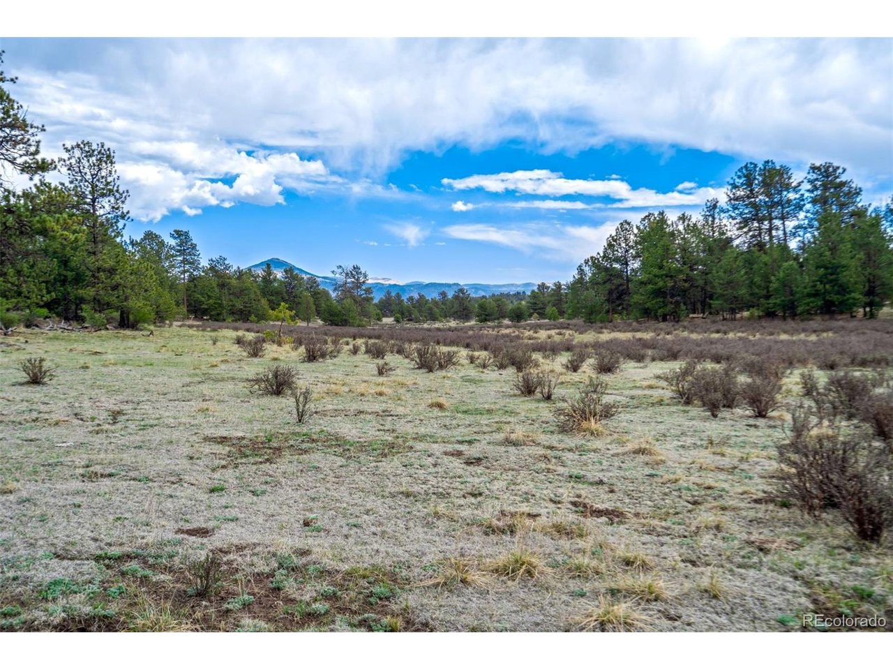 103 Doe Valley Road Guffey, CO 80820 - Photo 12 of 46