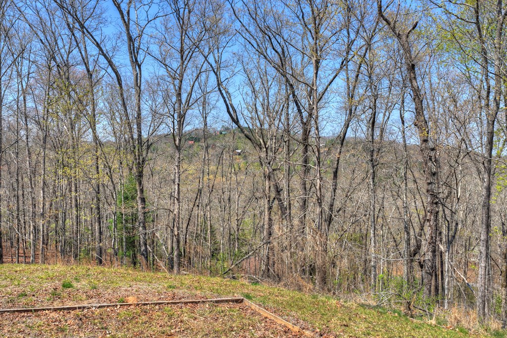 677 Barnes Chapel Road Blue Ridge, GA 30513 - Photo 24 of 40 Gallery Image 24
