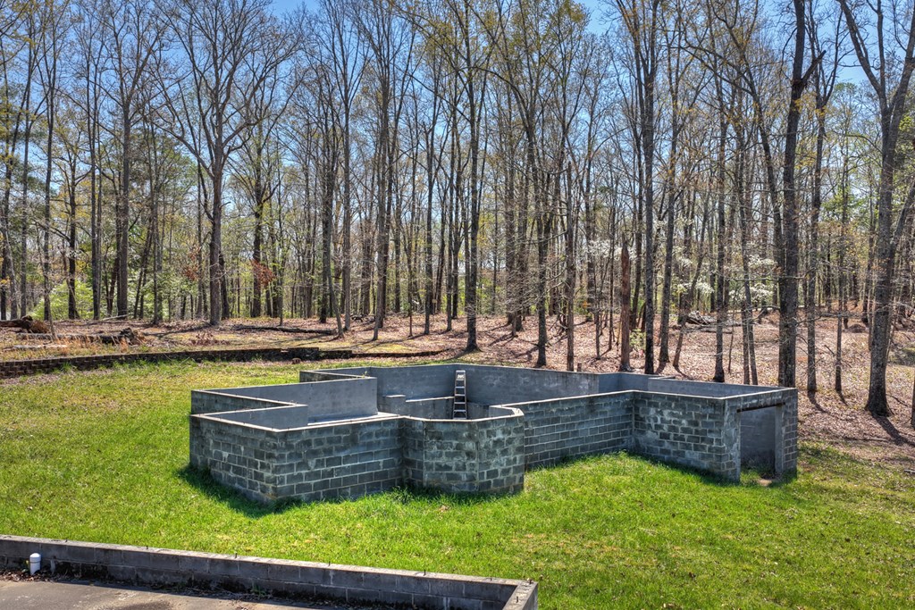 677 Barnes Chapel Road Blue Ridge, GA 30513 - Photo 3 of 40 Gallery Image 3