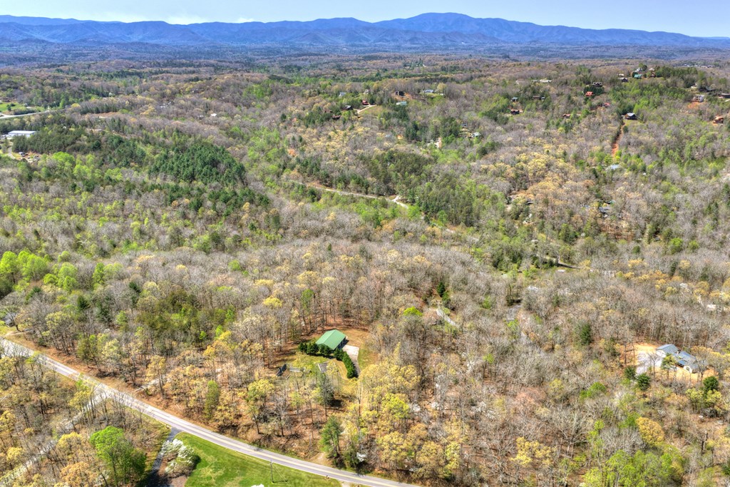 677 Barnes Chapel Road Blue Ridge, GA 30513 - Photo 5 of 40 Gallery Image 5