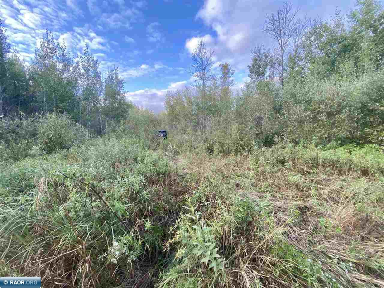 Tbd Tbd Olson Road West Orr, MN 55771 - Photo 2 of 10