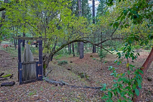 a view of outdoor space and tree s