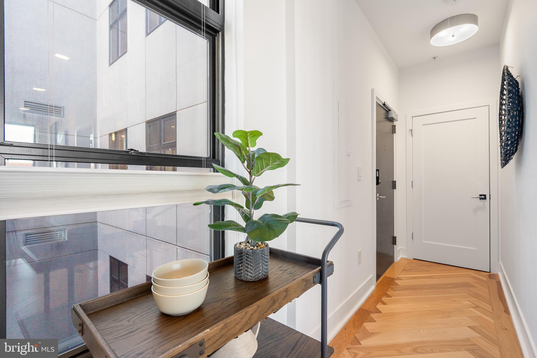 1345 K Street Southeast, Unit 401 Washington, DC 20003 - Photo 21 of 28 a living room with furniture and a potted plant