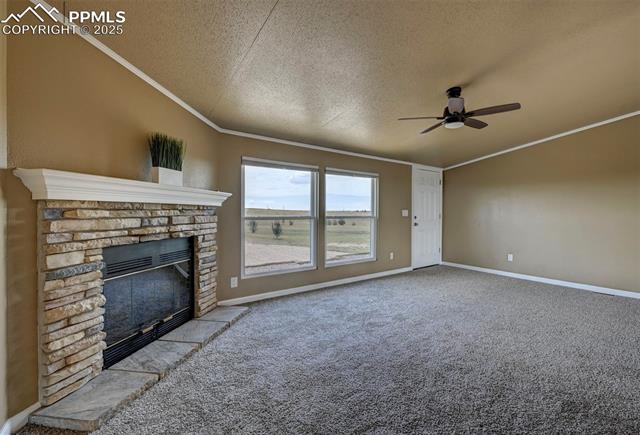33115 Torrence Road Yoder, CO 80864 - Photo 10 of 50 Gallery Image 10