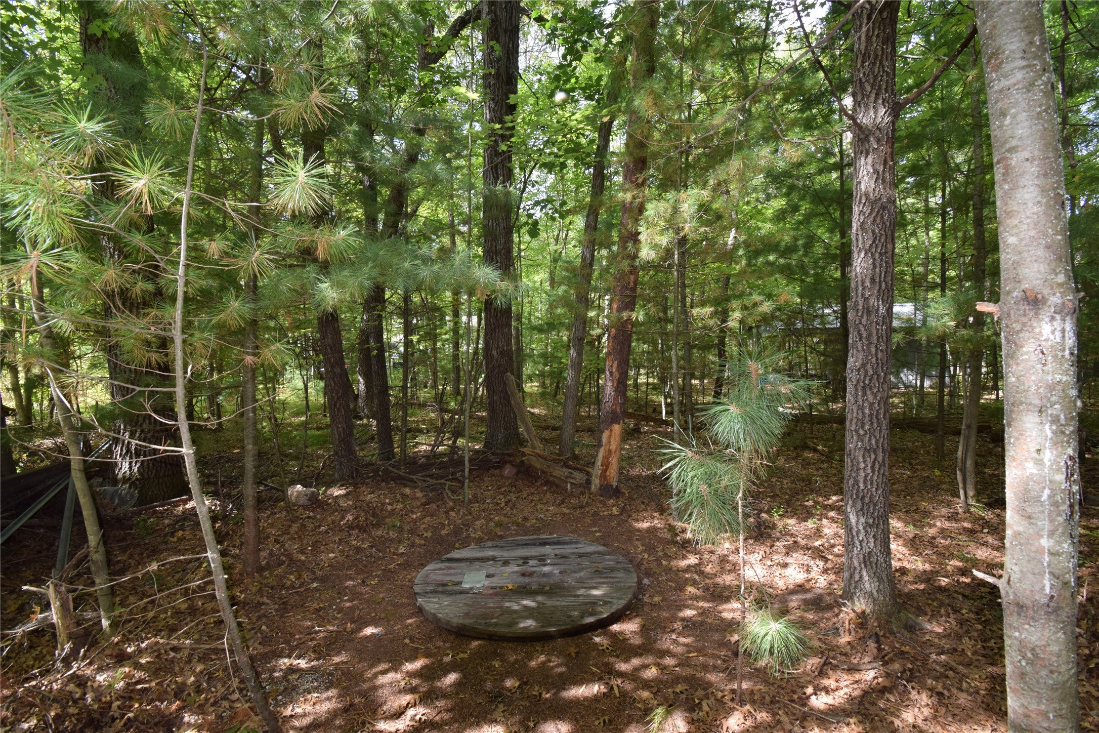 6703 Jamesway Road Siren, WI 54872 - Photo 10 of 23 Gallery Image 10