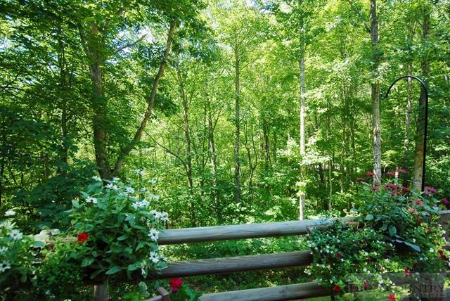 621 Homestead Road Todd, NC 28684 - Photo 20 of 25 Gallery Image 20