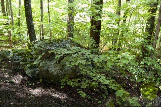 621 Homestead Road Todd, NC 28684 - Photo 21 of 25 Gallery Image 21