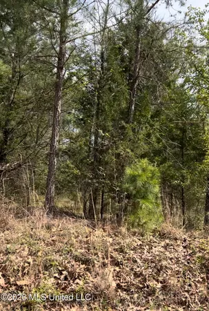 $145,000 | Lot 7 Matthews Drive, Byhalia, MS 38611