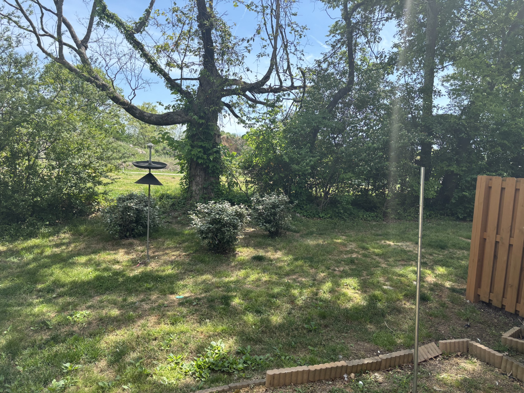 735 Tulip Grove Road, Unit 303 Hermitage, TN 37076 - Photo 15 of 16 a backyard of a house with lots of green space