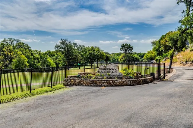 a view of a yard with palm trees