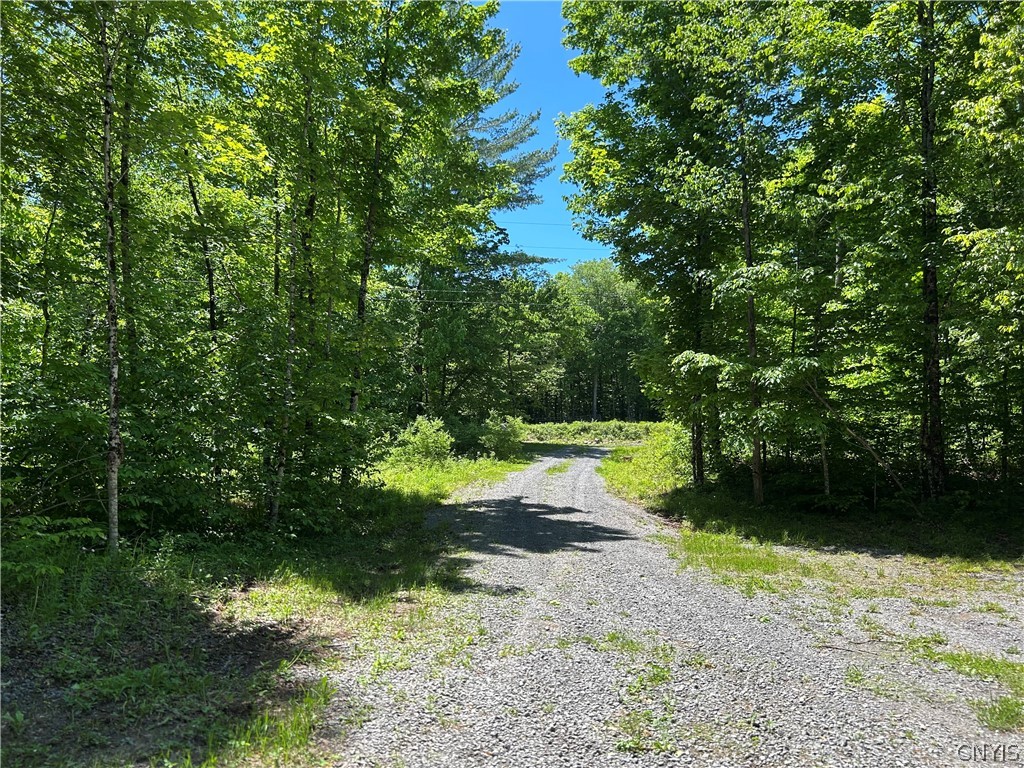 7702 Hiawatha Lake Road Greig, NY 13343 - Photo 12 of 14