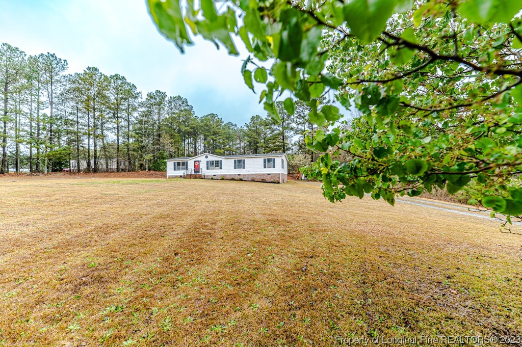 243 Hollywood Road Cameron, NC 28326 - Photo 4 of 39 a view of a yard with a tree