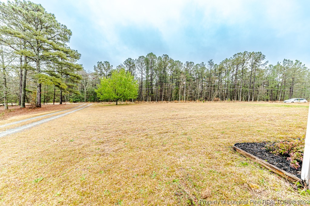243 Hollywood Road Cameron, NC 28326 - Photo 5 of 39