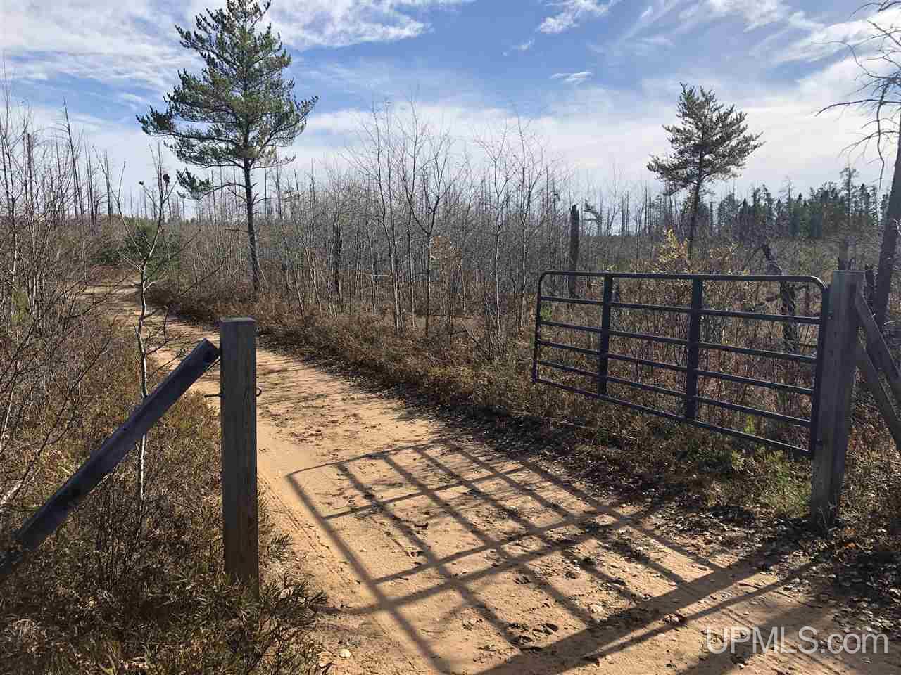 Tbd Woods Road Ishpeming, MI 49849 - Photo 25 of 26