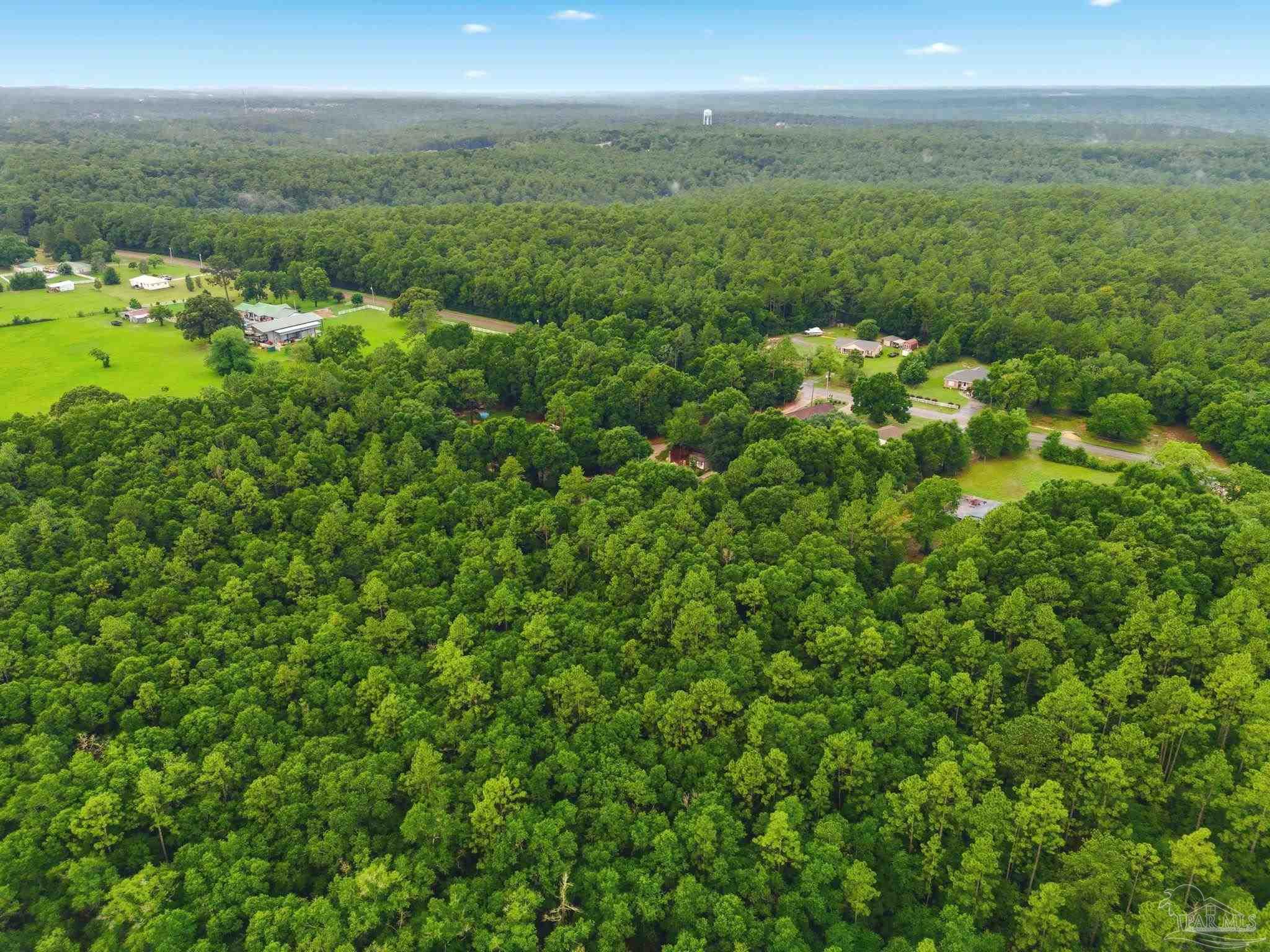 5985 Staff Road Crestview, FL 32536 - Photo 9 of 18