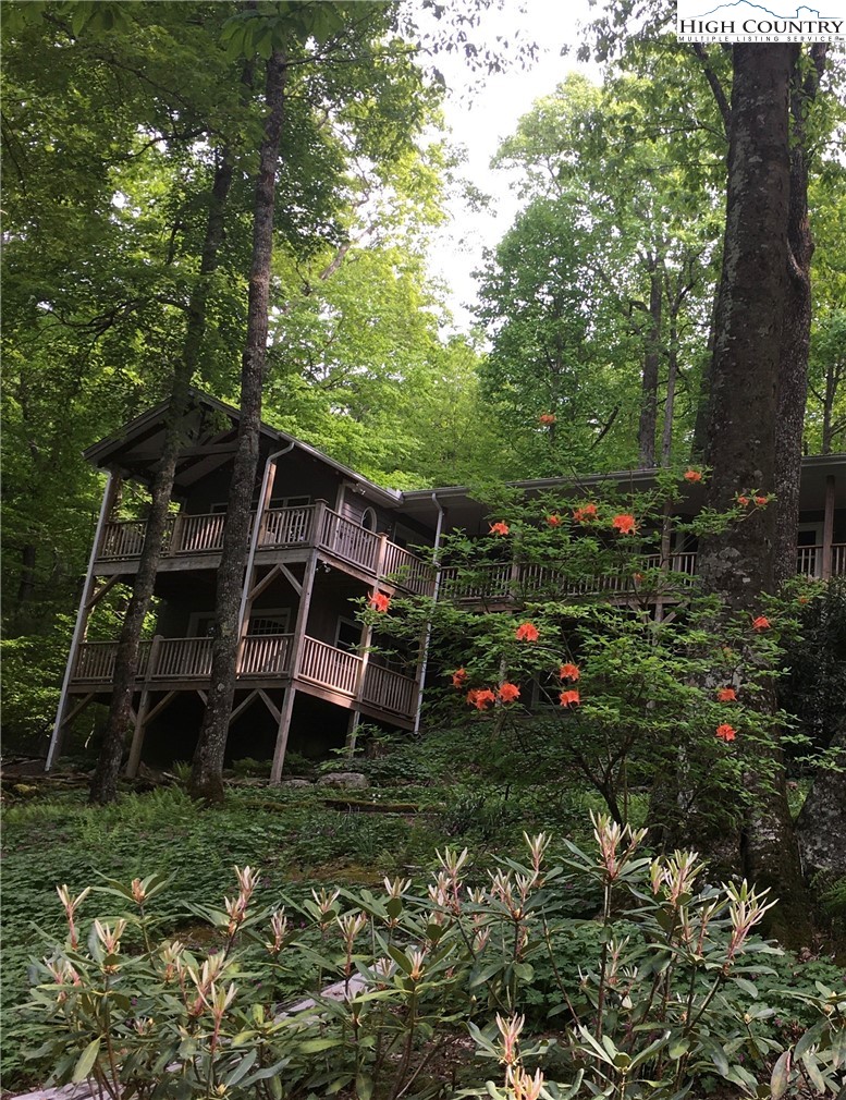 472 Virgil's Lane Boone, NC 28607 - Photo 44 of 44 a view of a wooden house with a big yard and large trees