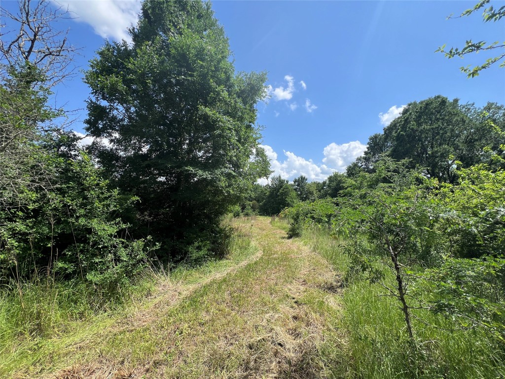 10 Fm 2562 Road Anderson, TX 77830 - Photo 13 of 34 a view of a garden
