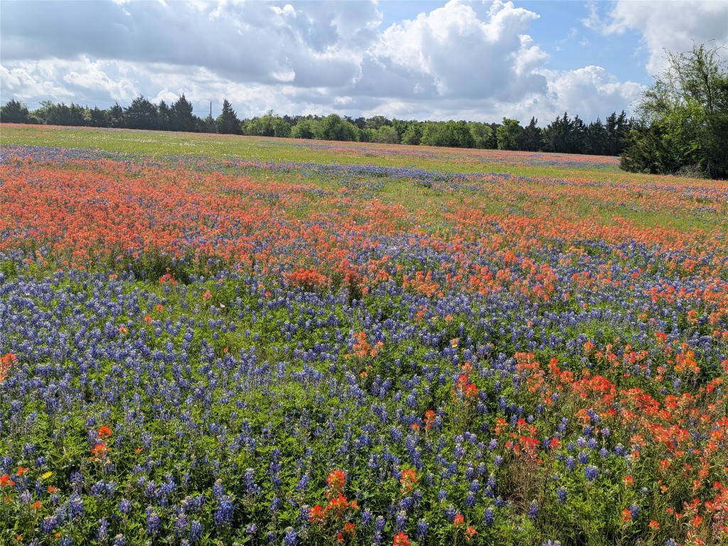 10 Fm 2562 Road Anderson, TX 77830 - Photo 2 of 34 a view of a field with an ocean