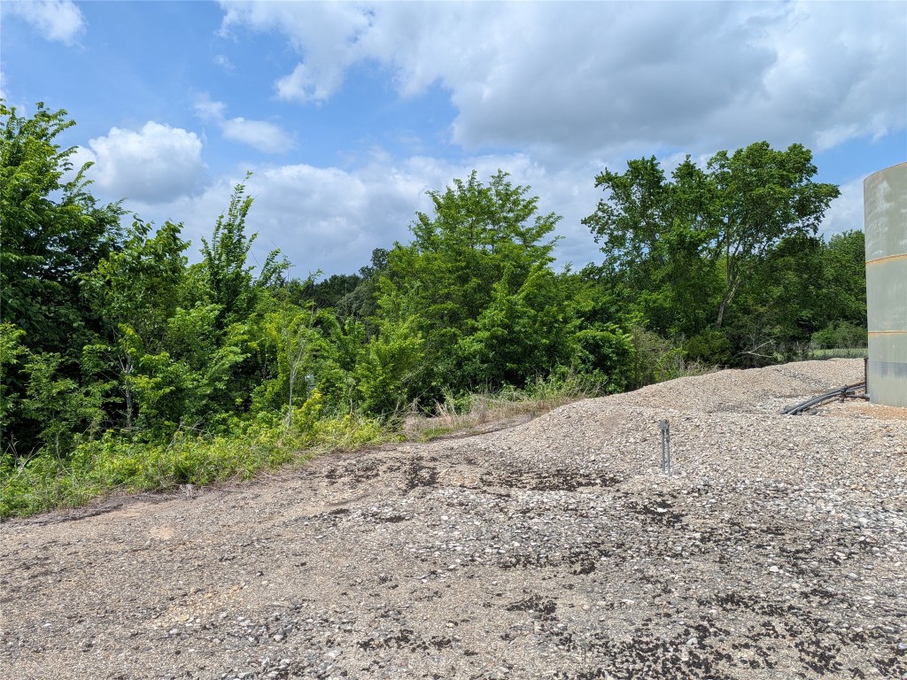 10 Fm 2562 Road Anderson, TX 77830 - Photo 22 of 34 a view of a yard with plants and a trees