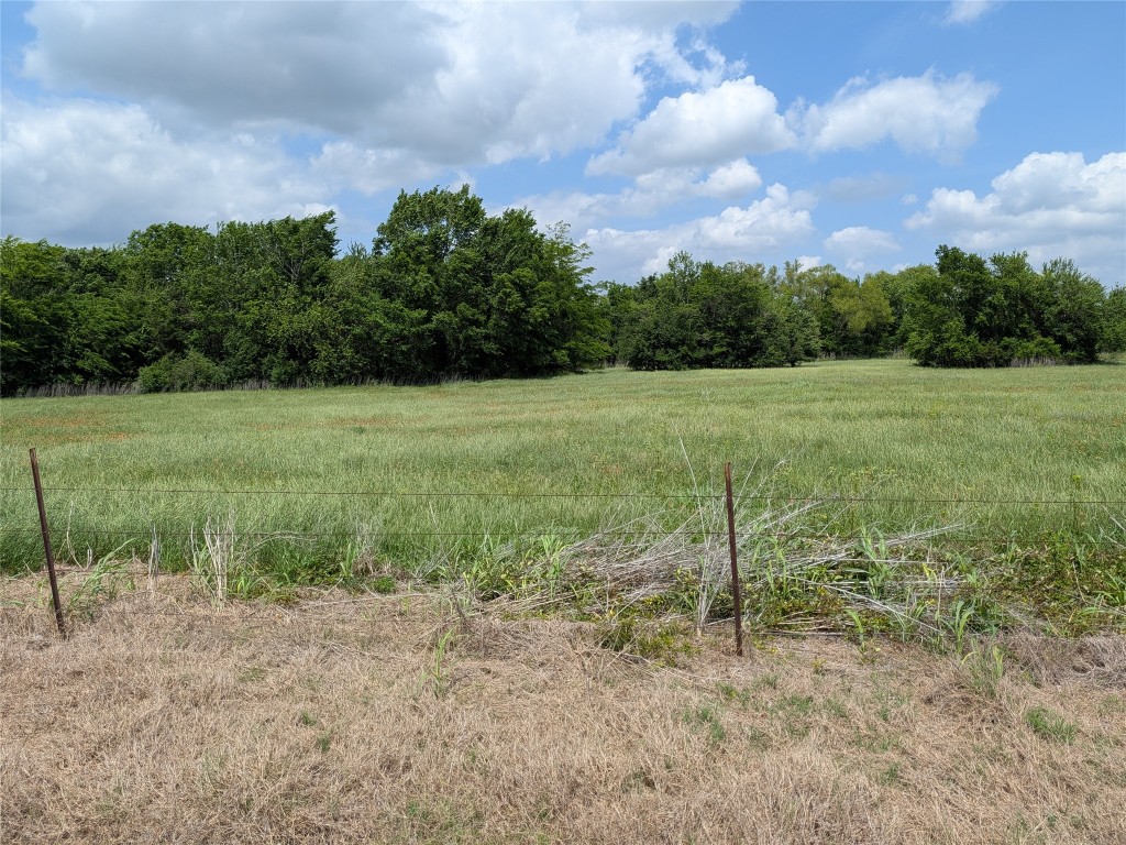10 Fm 2562 Road Anderson, TX 77830 - Photo 23 of 34 a view of outdoor space and yard
