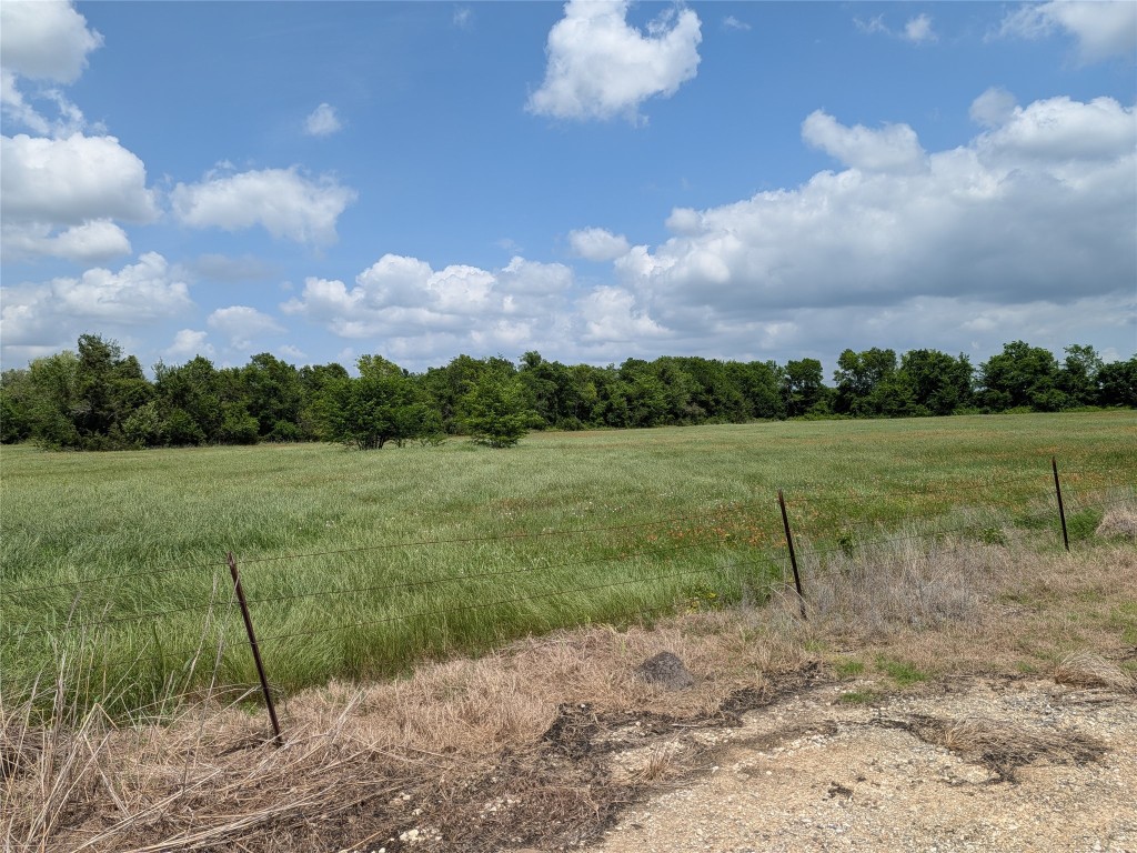 10 Fm 2562 Road Anderson, TX 77830 - Photo 24 of 34 a view of a lake with a big yard