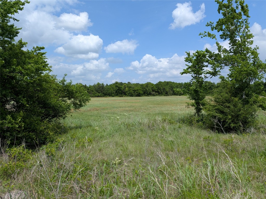 10 Fm 2562 Road Anderson, TX 77830 - Photo 27 of 34 a view of yard with green space