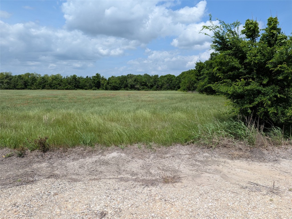 10 Fm 2562 Road Anderson, TX 77830 - Photo 29 of 34 a view of a lake with a yard