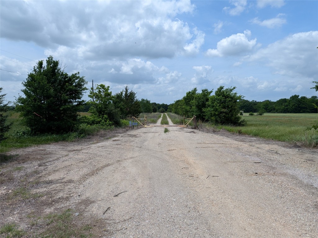 10 Fm 2562 Road Anderson, TX 77830 - Photo 30 of 34 a view of a field with a tree in the background