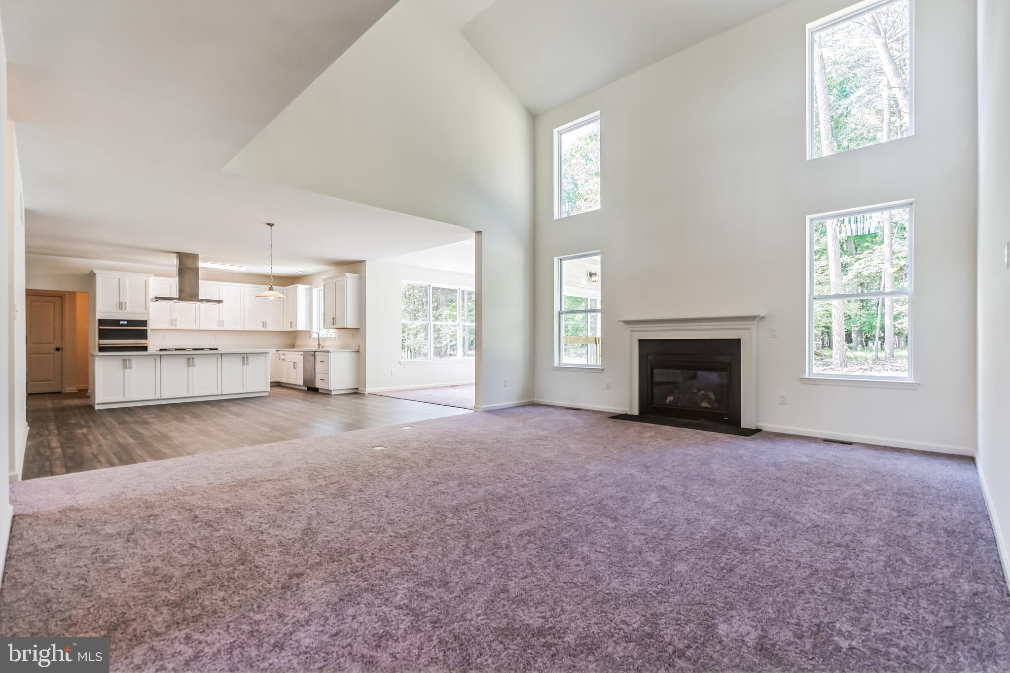 848 Saw Mill Road, Unit D Townsend, DE 19734 - Photo 24 of 53 a view of empty room with a fireplace and window
