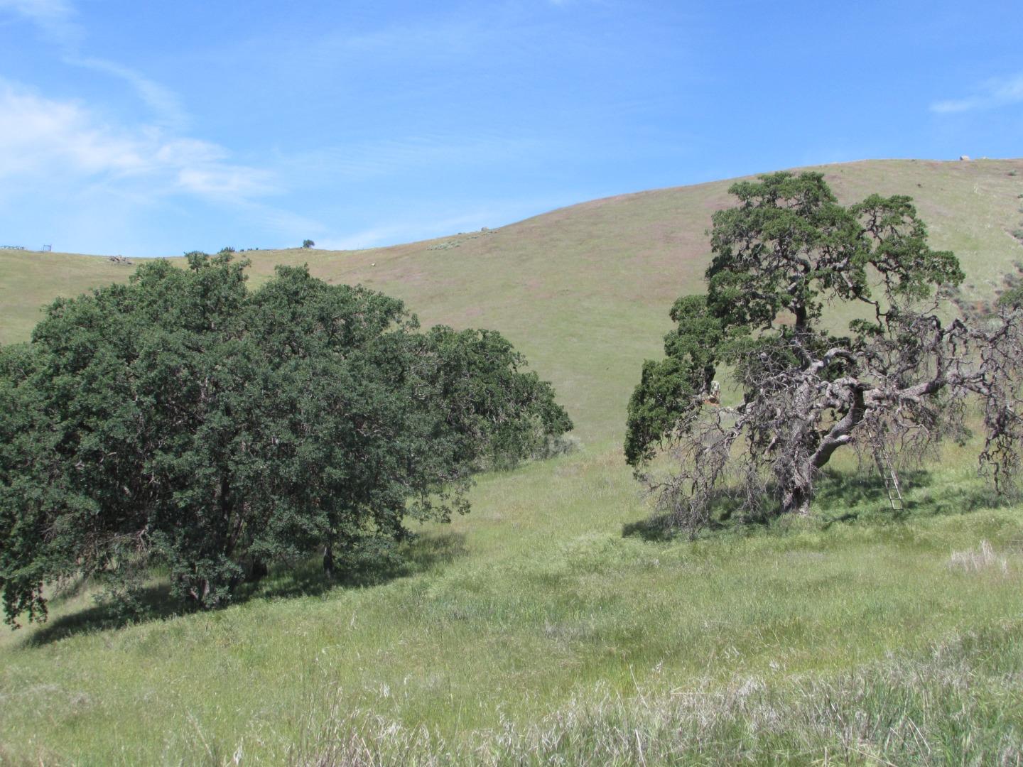 20357 Panoche Road Paicines, CA 95043 - Photo 1 of 18 Gallery Image 1